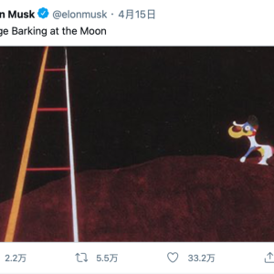 Dogcoin's popularity: Why is a 