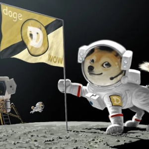 Dogecoin may be a scam, but the underlying technology of the blockchain is not 