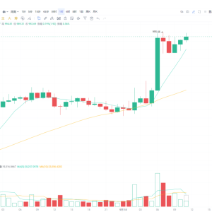 BNB reaches a new high, approaching $1,000!