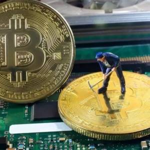 Bitcoin collapsed, what should the miners do? 