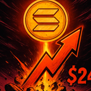 Three reasons for the recent strong increase in SOL. Are ecological projects expected to make up for the increase?