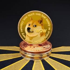 The irrational carnival of Dogecoin should come to an end