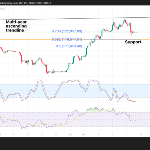Bitcoin (BTC) dips slightly: Is there more room to fall? Price Analysis