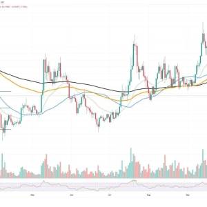 Dogecoin (DOGE) welcomes whales, whose positions suggest Dogecoin is about to plummet? Does it know anything?