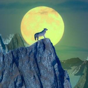 There are 4 signs of wolf transformation in Ethereum before the night of the full moon, will the execution return to zero or turn over? 