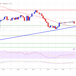 Dogecoin is on the edge again! The 0.20 knife is stable but it still wants to break through. If it breaks 0.2180, it can rush to 0.25 knife?
