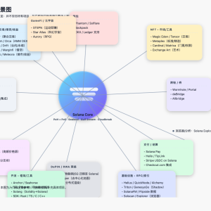 The cryptocurrency that Trump loves: Solana