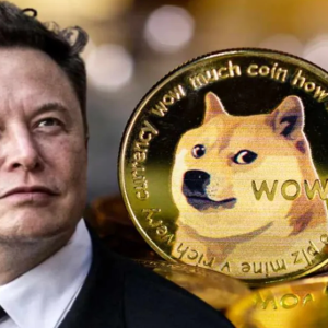Dogecoin is going to take off? Bold prediction: 2025 may usher in the biggest surge in history!