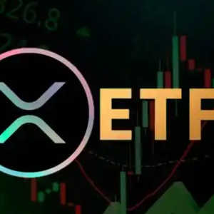 XRP Price Prediction: DeepSnitch AI Tops $295,000, Six ETF Decisions to Come in October