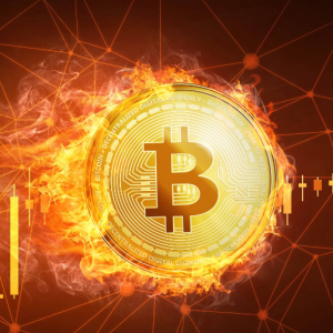 BTC Bitcoin price chart looks exactly like the soybean bubble of the 1970s: Peter Brandt 