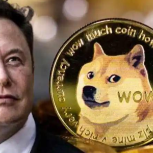 Dogecoin on track to top 270% - Analysts are bullish