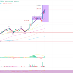 [Trading Guide] Dual-currency strategy differentiation: BTC goes long on dips, ETH sells high and buys low​