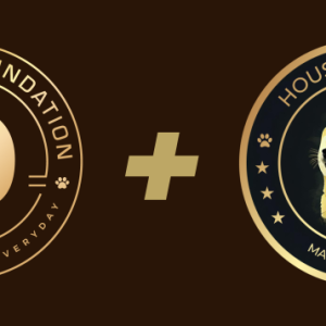 Dogecoin monthly chart confirms the 