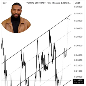 Dogecoin (DOGE) is ready to rebound! Data patterns suggest that $1 Dogecoin is really coming?!