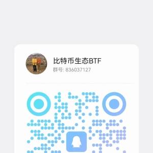 Bitcoin Layer 2 Public Chain