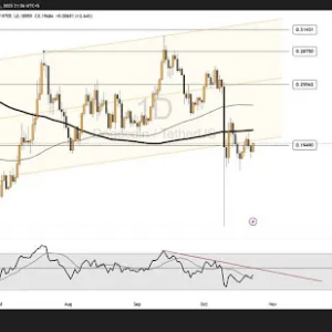 Dogecoin’s critical moment: Signs of stabilizing support are showing, and the trend may be reversing on the verge of breaking out!
