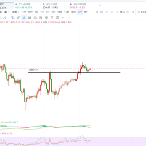 Global stock markets are hitting new highs, and BTC will rebound next 