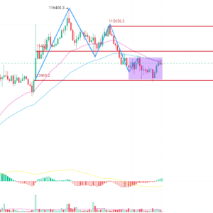 ETH range oscillation needs to be broken through, BTC's downward trend continues​
