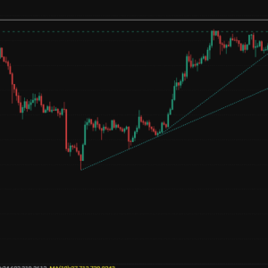 SOL risks far outweigh profits