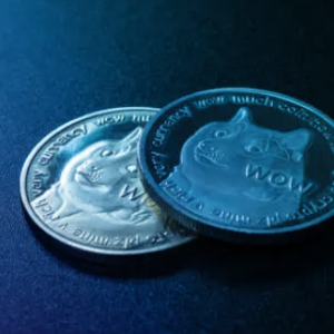 Dogecoin open interest plummets 50% from October highs, trading volume is worse, what happened?