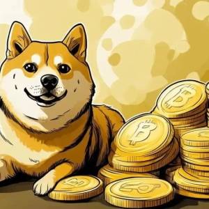 Is the third wave of Dogecoin coming? DOGE has built a bottom and is targeting $0.8 to break the all-time high 