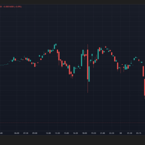 Dogecoin plummeted 20%, but some people shouted: The real bull market has just begun!