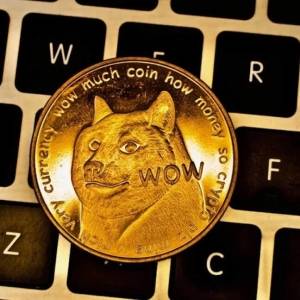 Dogecoin enters Serie C, Trieste team is sponsored by DOGE