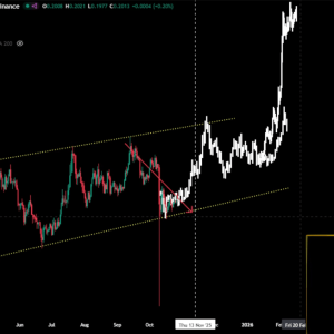 Dogecoin is expected to explode in November? VisionPulsed reveals the potential rising rhythm