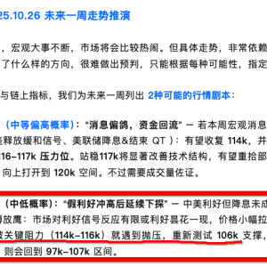 BTC WEEKLY 25.11.2 - Escape from the Top 2025 (Part 20) American capital is running away? 