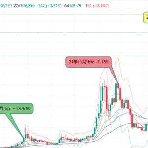 In November of the second year after the halving, BTC surged 54% and plummeted 7%. I believe this script even more in 2025...