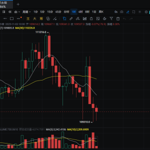 11.3 BTC Morning Silk Road: 