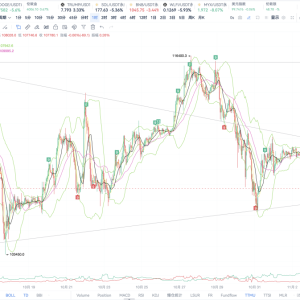 11.03 BTC Today's Market Analysis
