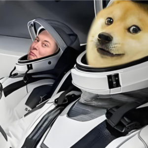 Dogecoin has skyrocketed by 30% to no one cares about it. Has Musk's DOGE 