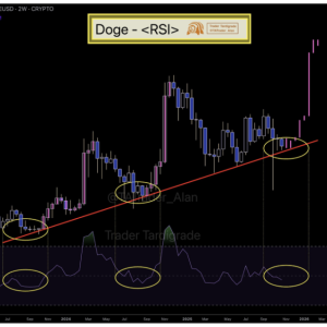 Dogecoin is about to take off? RSI reproduces historical signals, DOGE may be preparing for a third round of surge!