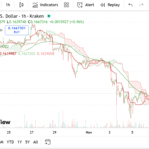 Dogecoin and Shiba Inu Coin fell sharply, the 