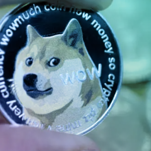 Dogecoin and Shiba Inucoin are “falling”, what is the reason behind it? Is it a trap or an opportunity? 