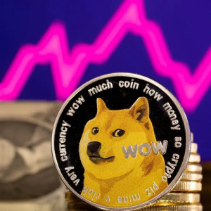 Dogecoin has bottomed out? The 200-week moving average has become a life-saving straw. It has reached $0.305 after standing at $0.202! 