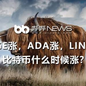 Doge is going up, ADA is going up, LINK is going up, when will Bitcoin go up? 