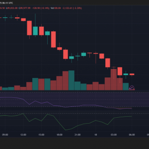 BTC fell below 90,000! Amid the panic selling, long-term capital is quietly bargain hunting 