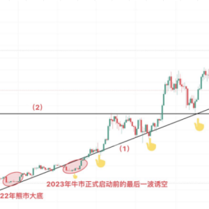 Short-term bottom near BTC? Buterin openly questioned BlackRock? Why did SOL rebound the strongest?