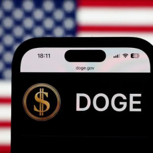 The fig leaf of American democracy was finally torn apart by DOGE's 