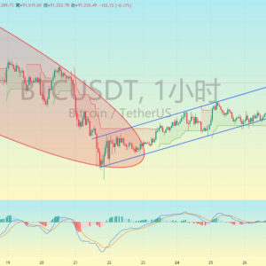 The trend of BTC is all within expectations, and the oscillation rhythm remains unchanged