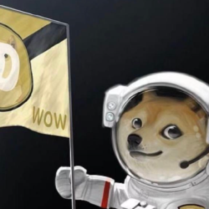 Dogecoin (DOGE) encountered resistance, and the rebound momentum showed signs of weakening