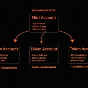 How to get all holders of a token on 