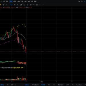 ETH fell below 2915! The lower Bollinger Bands sounded the alarm, is the final drop or the beginning of a collapse? 