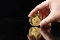 My parents are deeply involved in Dogecoin, and they and I have become 