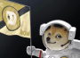 Dogecoin (DOGE) encountered resistance, and the rebound momentum showed signs of weakening